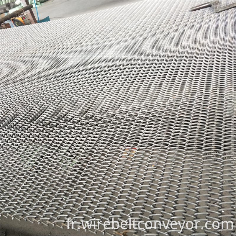 Food Processing Mesh Belt